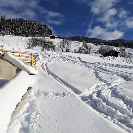 Appartement Franz Zell am Ziller Dış mekan fotoğraf