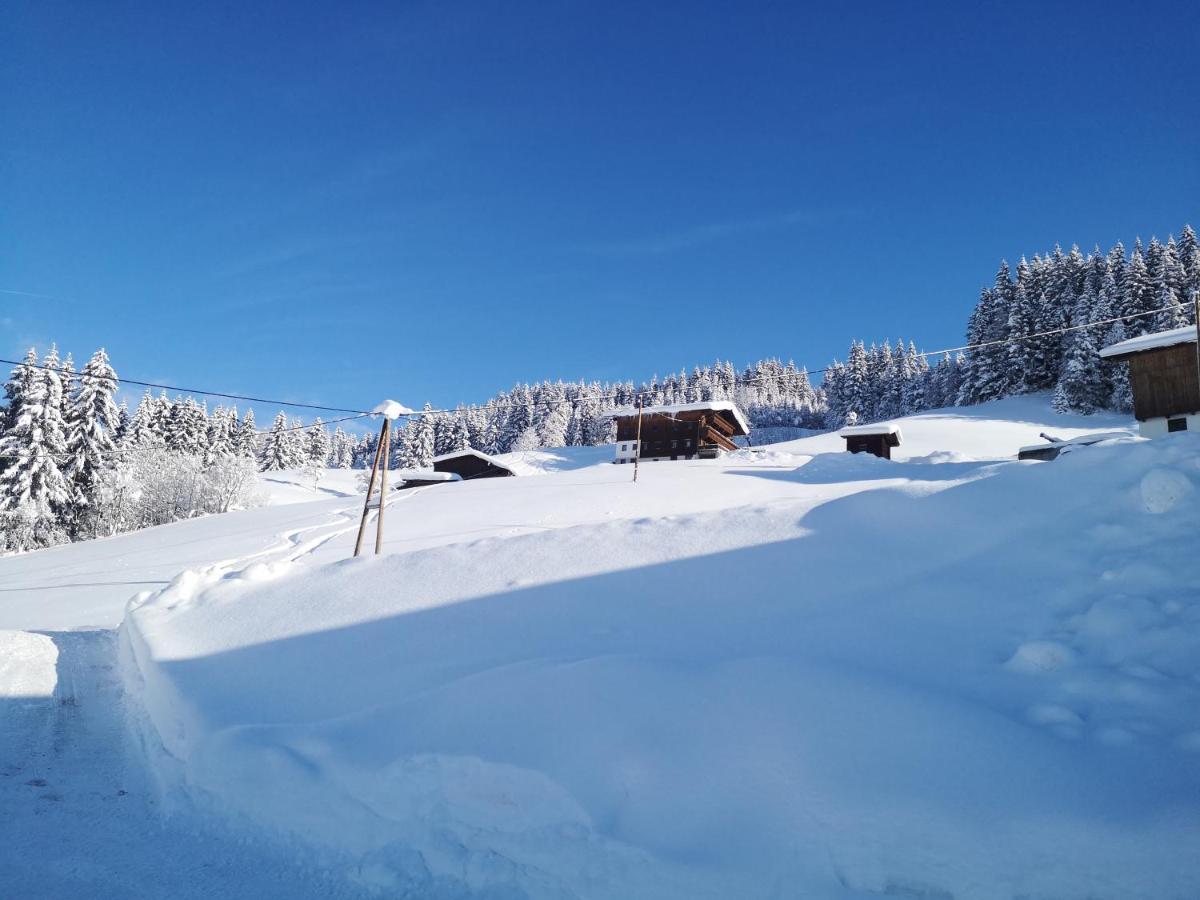 Appartement Franz Zell am Ziller Dış mekan fotoğraf