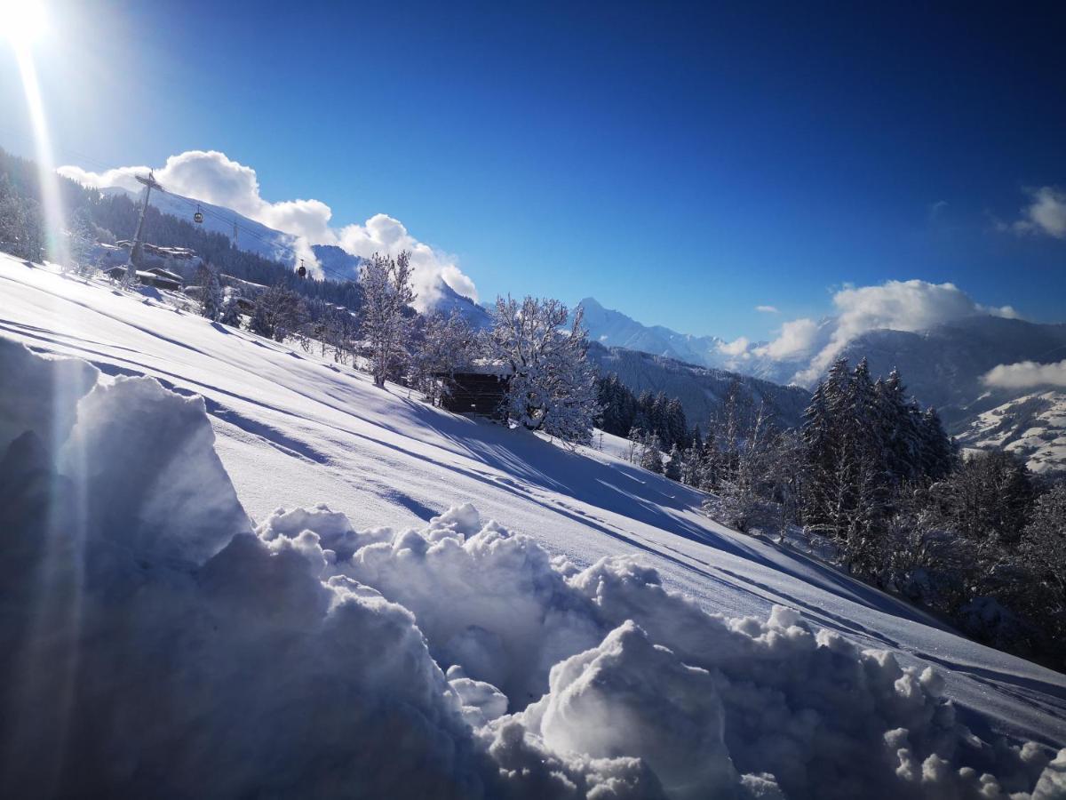 Appartement Franz Zell am Ziller Dış mekan fotoğraf
