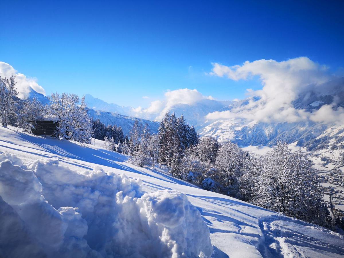 Appartement Franz Zell am Ziller Dış mekan fotoğraf