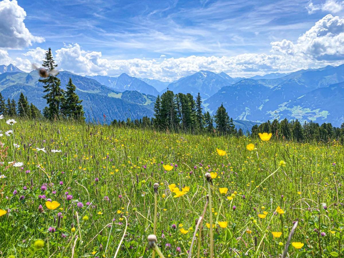 Appartement Franz Zell am Ziller Dış mekan fotoğraf
